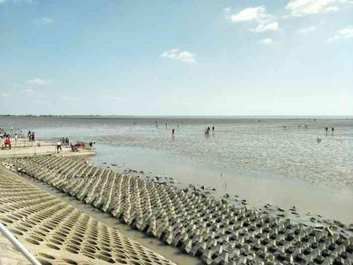 奉贤海滩-"本来以为就是碧海金沙,看了些评论才觉得可