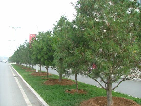 晋城市前进路二区