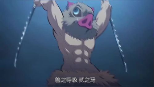 猪猪华丽登场,兽之呼吸斩尽一切!