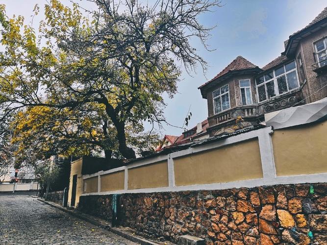 大学路,鱼山路:古典与现代的撞击