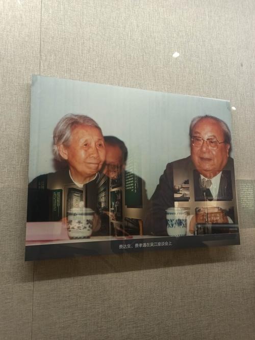 费达生和费孝通.
