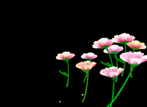 动态花卉_百度图片搜索