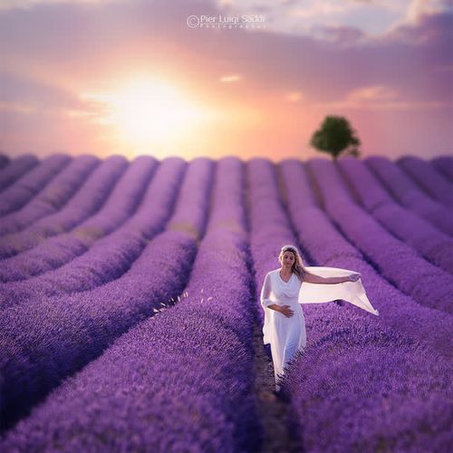 紫色背景美女图