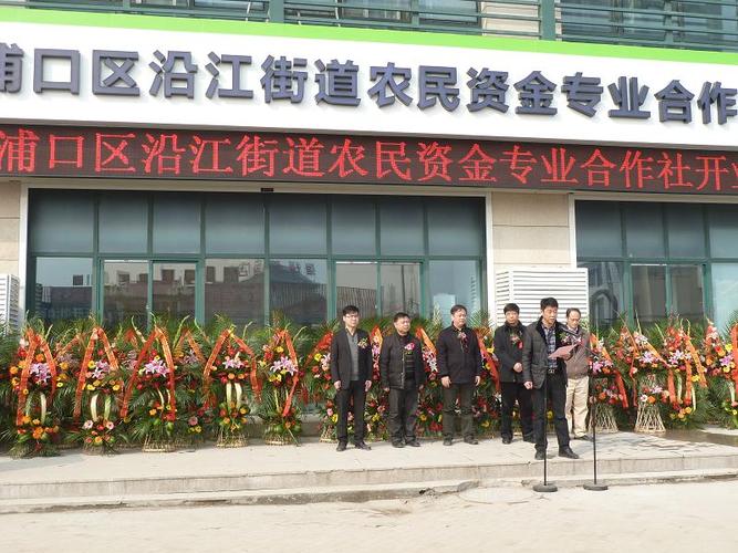 浦口区副区长赵宏斌,南京市农林局局长王江生,沿江街道办事处主任方强