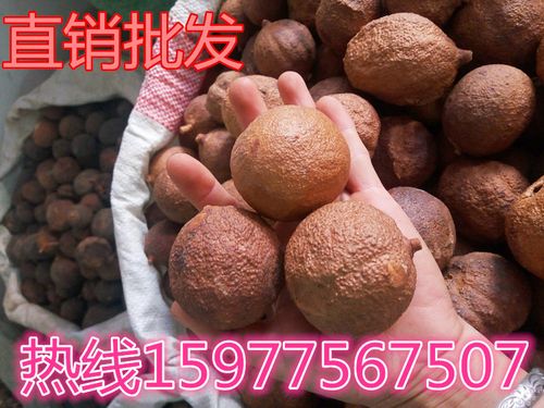 别名树屈头鸡 产地直销 货源价格优惠