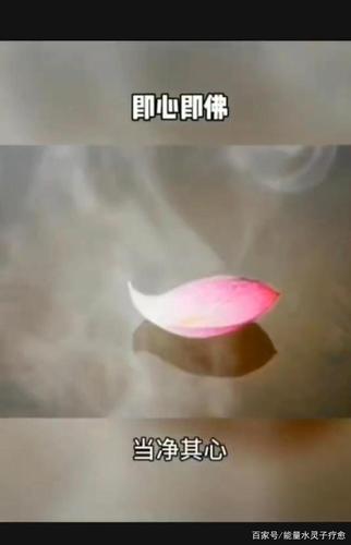 即心即佛万法归心