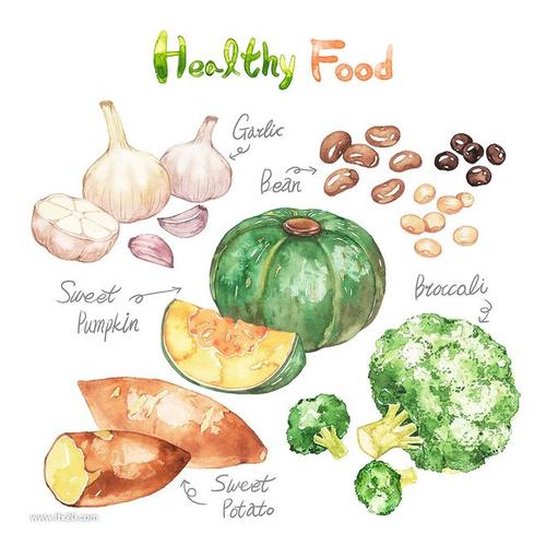 新鲜食材插画