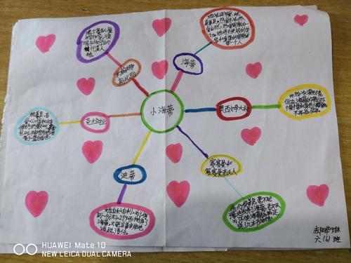 《小海蒂》阅读收获 ——思维导图展示