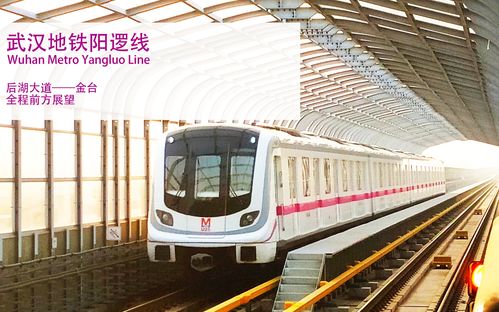 武汉地铁阳逻线 后湖大道——金台 全程前方展望