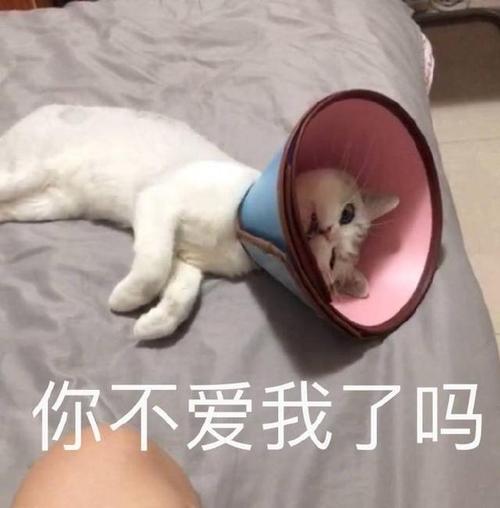表情包抱住扭曲的自己