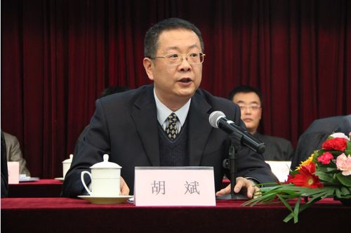 胡斌董事长发表重要讲话