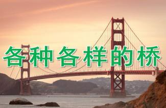 大班科学《各种各样的桥》ppt课件教案