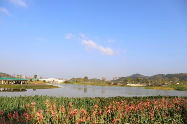 设计院服务的广西梧州苍海国家湿地公园(试点)顺利通过验收