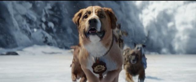 电影主要讲的是一只狗从"狗生"转变为"狼生"的故事,剧情是这样,但是