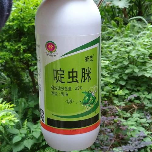 宜州化学蓟马跳甲杀虫剂25啶虫脒果树农药芒果茄子柑橘