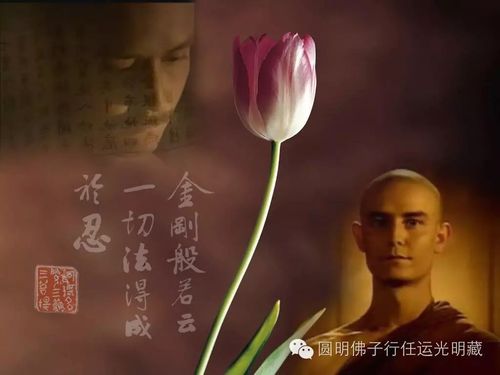 诸佛显化译经之王鸠摩罗什!