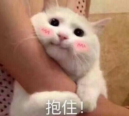 表情包无水印 我要抱抱
