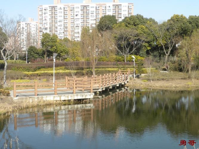 原创游遍上海公园宝山区罗泾公园