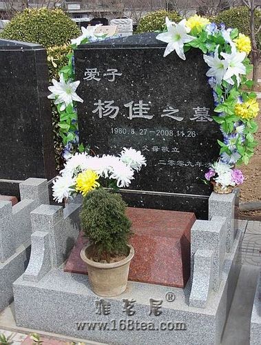 年11月) 袭警杀人者杨佳于2008年11月26日在上海被以注射方式执行死刑