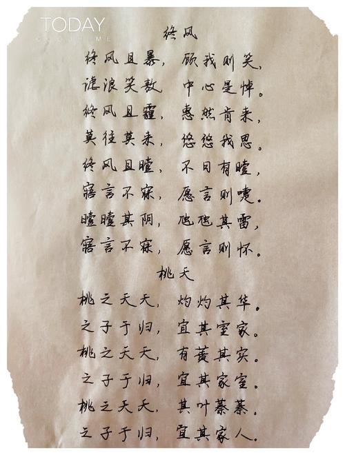 写诗记终风桃夭诗经选文