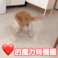 抖音爱的魔力转圈圈gif表情包 27枚高清版 免费版
