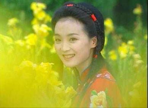 情深深雨蒙蒙 萍萍 王艳