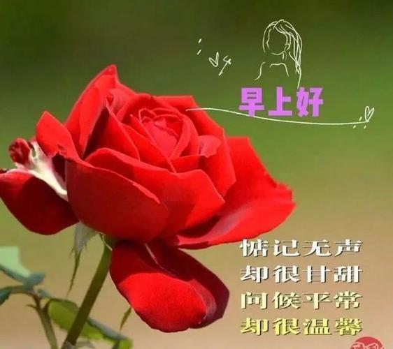 清晨问候温馨祝福语句,早上很美的祝福语图片精选