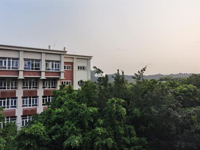 北理珠的角角落落_景点_北京理工大学(珠海学院)自由行热门攻略_出行