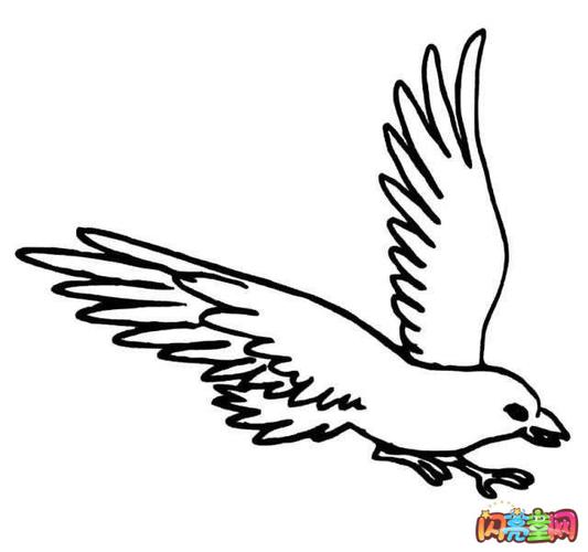 飞翔的小鸟简笔画图片大全
