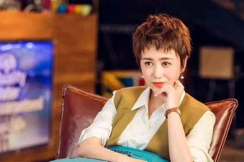 撒贝宁马丽何炅这些名校毕业的明星学霸,谁会成为你的大学校友