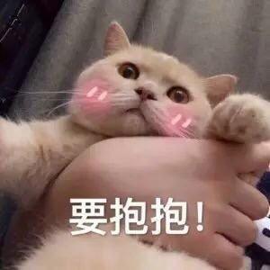 抱抱的表情包|我真的不胖,不信你抱抱我