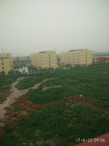 山东省德州市夏津县锦芳街靠近夏津县双语中学天气预报