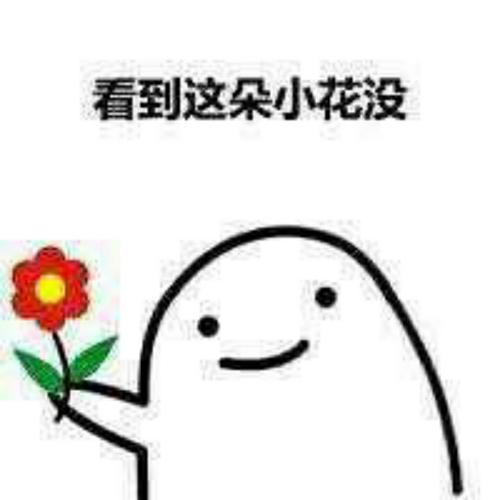 小花花表情包