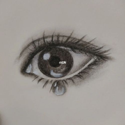 画个大眼睛_大眼睛_我的随手画_文化_绘画