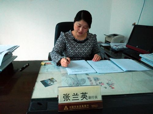 农发行南溪支行张兰英:展巾帼风采 创一流佳绩