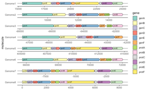 r 绘制基因结构图-gggenes