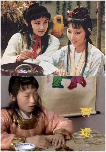 《红楼梦》中的贾环,因长相丑陋成就经典,如今变帅后却没戏可拍
