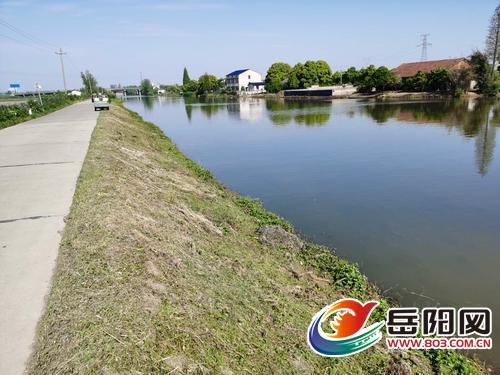 华容县万庾镇,鲇鱼须镇共同推进"河长制"联合巡查