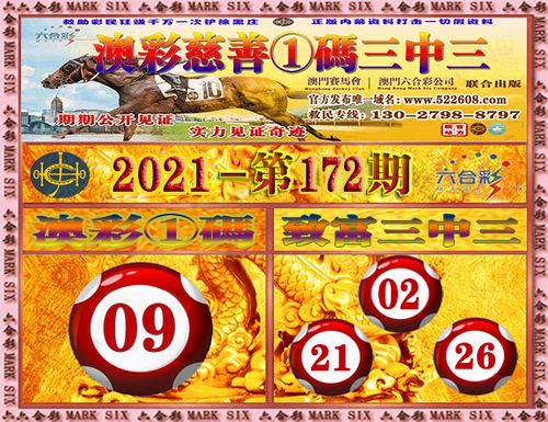 172期澳门六合彩开奖结果:32    31       48 特码09准