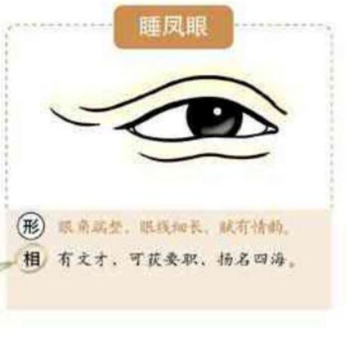 麻衣神相中眼型