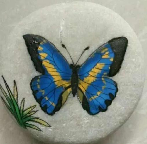 心理学:你喜欢哪一个石头上的蝴蝶画,测你未来三个月的情感运势
