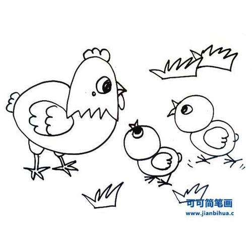 最简单的鸡妈妈怎么画