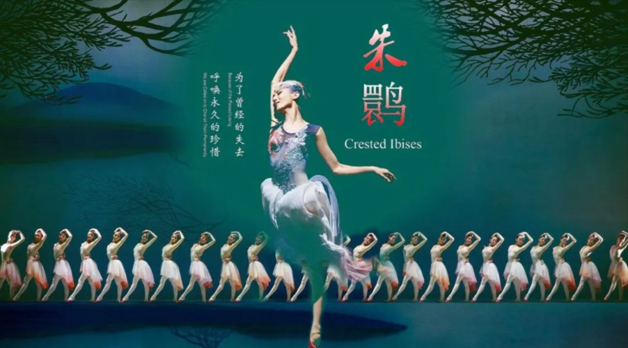 人间绝美——登上春晚的舞剧《朱鹮》令人心醉
