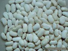 白豆,也叫眉豆,是豆科植物菜豆种子,球形或扁圆,比黄豆略大,也有状如