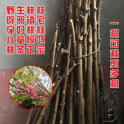 桃树枝辟邪孕妇需要儿童惊吓夜晚啼哭枝条镇宅野生桃野生