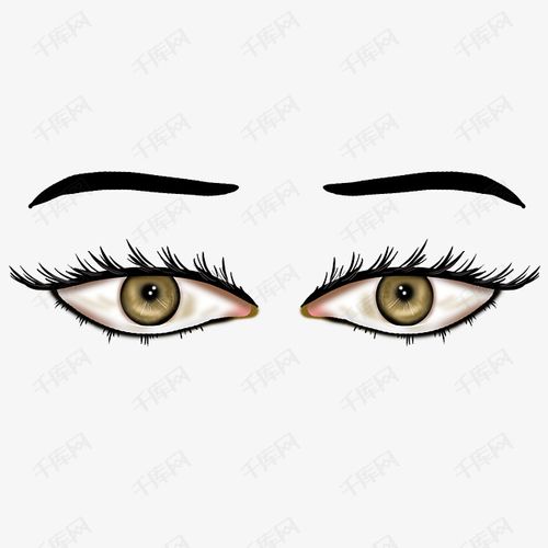 五官棕色眼睛眉毛卡通