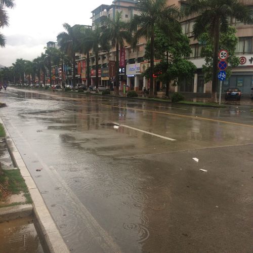 没你的城市 下雨真丑