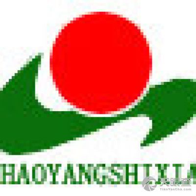 汕头市潮阳实验学校