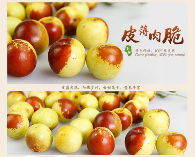 冬枣脆甜蜜枣 山西脆新鲜冬枣 pk陕西大荔冬枣沾化冬枣 包邮500g