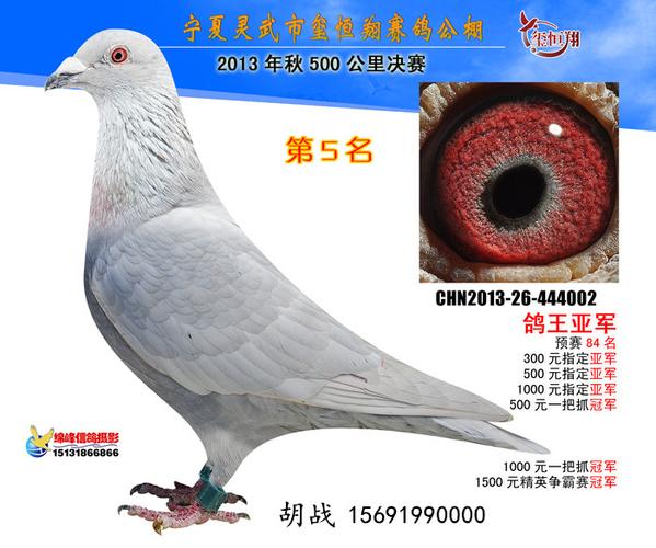 沙漠银狐